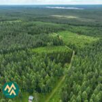 Viistoilmakuva metsätilakokonaisuudesta Sianvaarantien ympäristössä Ilomantsissa
