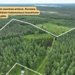 Ilmakuva laajasta viiden metsätilan kokonaisuudesta Ilomantsin Sianvaarassa