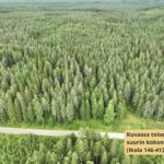 Ilmakuva laajasta viiden metsätilan kokonaisuudesta Ilomantsin Sianvaarassa