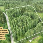 Ilmakuva laajasta viiden metsätilan kokonaisuudesta Ilomantsin Sianvaarassa