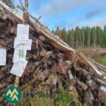 Kotirannan myyntiesitteitä puupinon vieressä kohteen opastuspaikalla