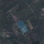 Ilmakuva Korsumäen metsätilasta Ikaalisten Varpeella