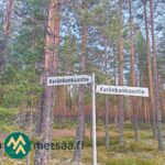 Kyrönkankaantien opasteet Korsumäen metsätilan läheisyydessä Ikaalisissa