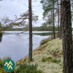 Kohde rajautuu Vähä-Saares-järveen