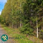 Tie myytävän metsätilan rajalla Ylöjärven Kiviperällä