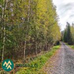 Tie myytävän metsätilan rajalla Ylöjärven Kiviperällä