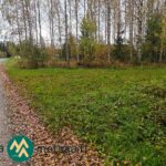 Riitasuontie Kauppilan metsätilan kohdalla Sastamalassa