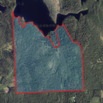 Ilmakuva kohteesta