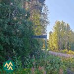 Korianiemen metsätien tienviitta Hartusniemen metsäpalstalle johtavan reitin varrella.