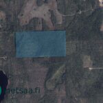Hartusniemen pohjoinen metsäpalsta korostettuna ilmakuvassa.
