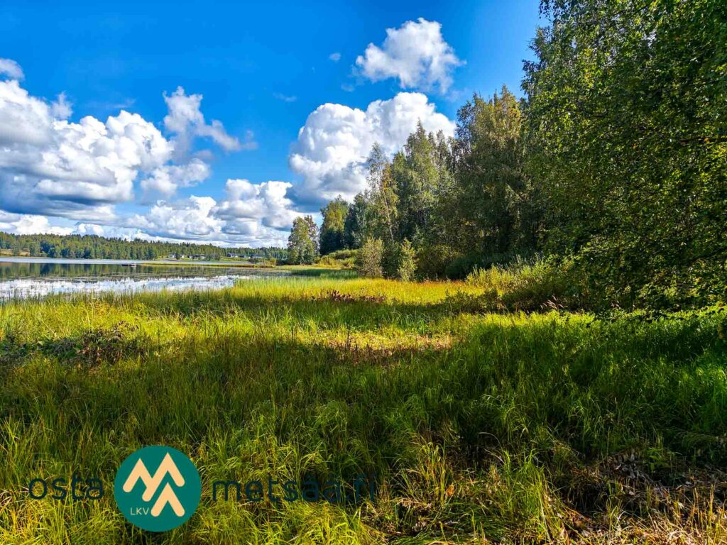 Myydään rakennusmaata Pirkanmaalta Parkanon keskustasta. Kirkkojärven rantaa ja rantakasvillisuutta myytävällä Niemensivun tilalla Parkanossa.