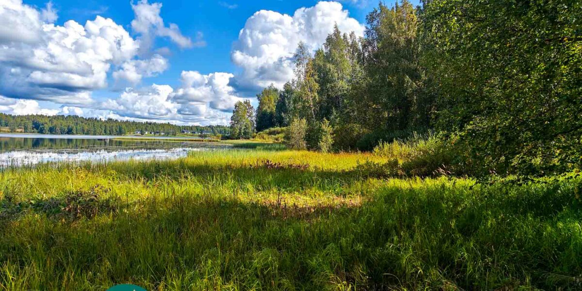 Myydään rakennusmaata Pirkanmaalta Parkanon keskustasta. Kirkkojärven rantaa ja rantakasvillisuutta myytävällä Niemensivun tilalla Parkanossa.